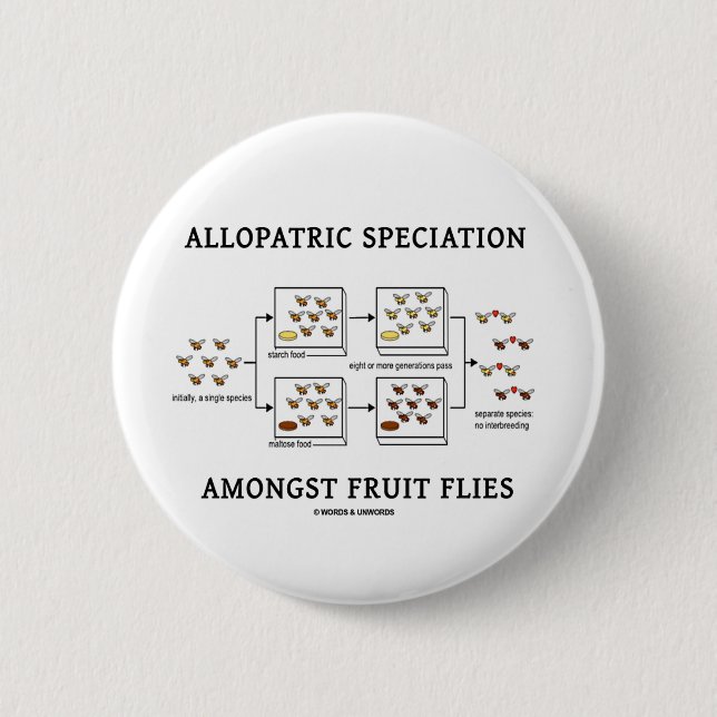 Allopatric Speciation Amongst fruktflugor Knapp (Framsida)