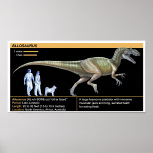 Allosaurus - Biologi Juraperioden Poster
