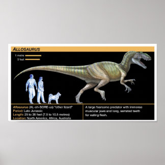 Allosaurus - Biologi Juraperioden Poster