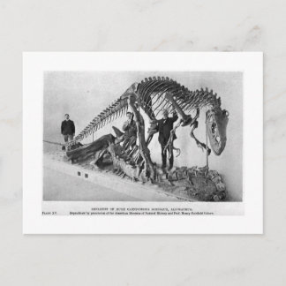Allosaurus skeleton - vykort