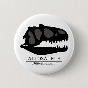 Allosaurus Skull Knapp