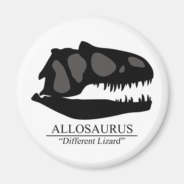 Allosaurus Skull Magnet (Framsidan)