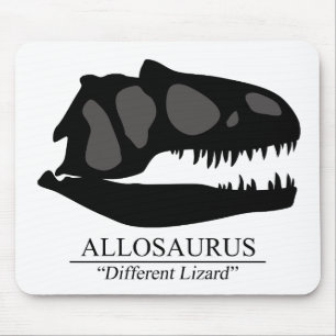 Allosaurus Skull Musmatta