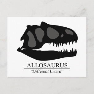 Allosaurus Skull Vykort
