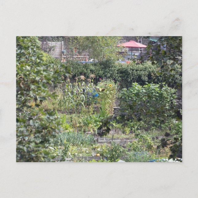 Allotting vid Hebden Bridge Vykort (Framsida)