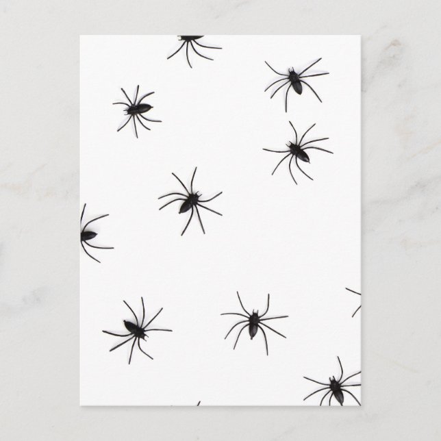 Allover Spiders Halloween Vykort (Framsida)