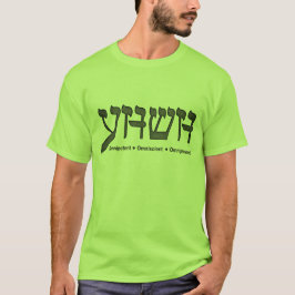 Allsmäktig-Allvetande-Allestädes närvarande YHWH T Shirt