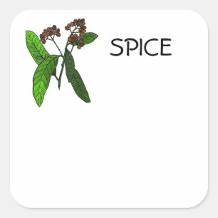 Allspice Design for Spice or Herb ID Information Fyrkantigt Klistermärke