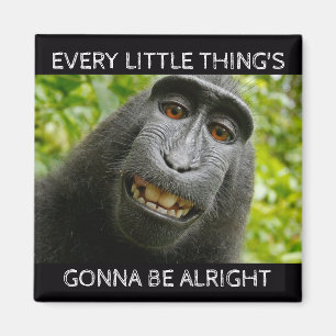 Allt är Alright apan Magnet