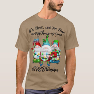 Allt är Bra Speciell utbildning SPED Lärare T Shirt