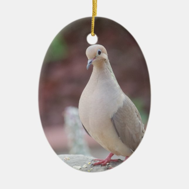 Allt är Coo. Julgransprydnad Keramik (Framsidan)