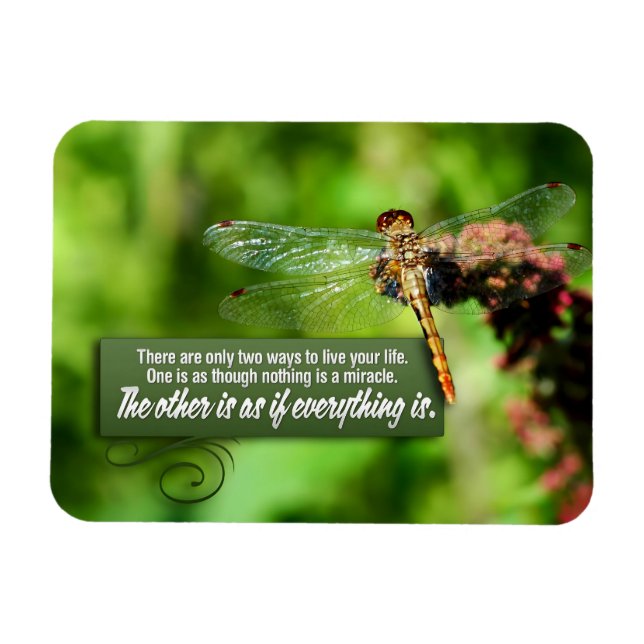 "Allt är ett mirakel", inspirationsoffert Flex Magnet (Horisontell)