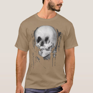 Allt är förgänglighet retro vän t shirt
