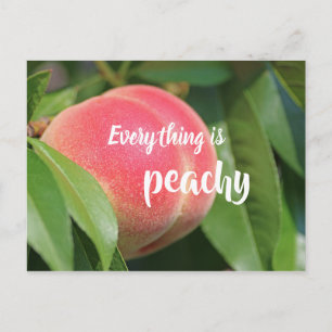 Allt är peachy // persika vykort