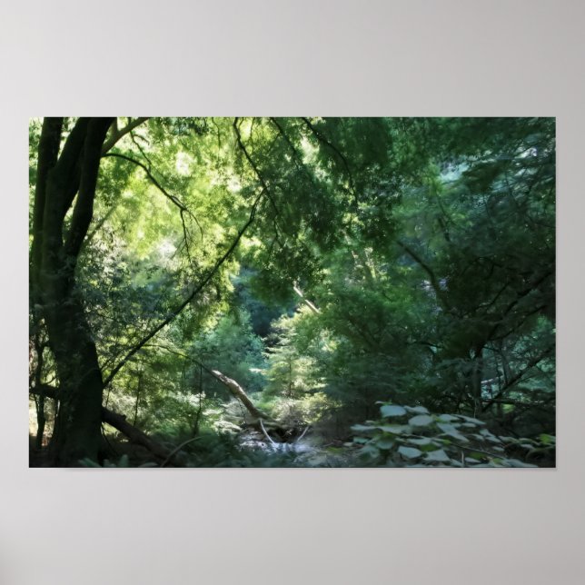 Allt är tyst i Shadow Den, Muir Skogen Poster (Framsidan)