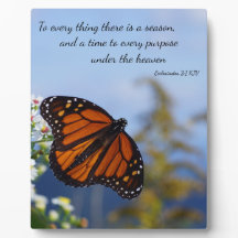 Allt där finns en säsong