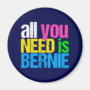 Allt du behöver är Bernie Sanders 2020 Magnet