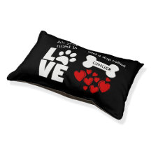 Allt du behöver är Kärlek