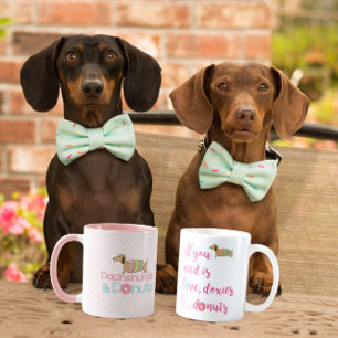 Allt du behöver är kärlek dachshund och nöt kaffe  kaffemugg