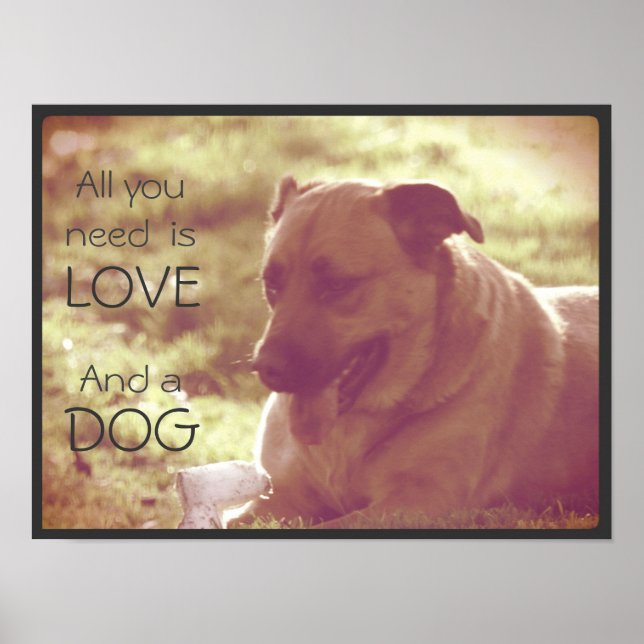 Allt du behöver är Kärlek och en Hund Poster (Framsidan)