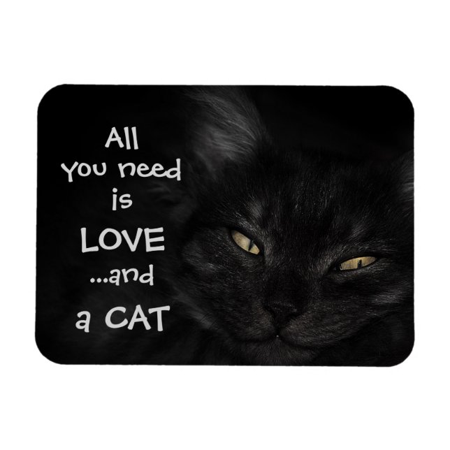 Allt du behöver är kärlek..och en katt/svart katt magnet (Horisontell)