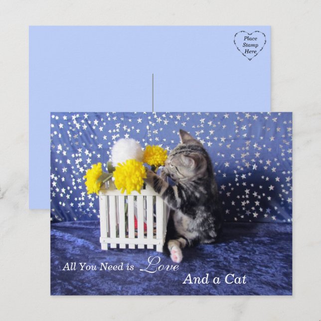 Allt du behöver är Kärlek och en katt Vykort (Fram/baksida)