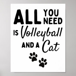 Allt du behöver är volleyball och en katt. poster