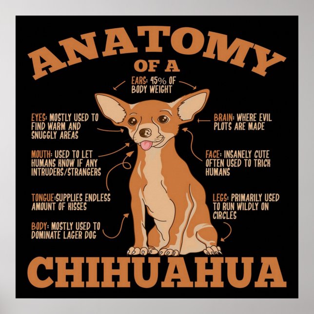 Allt du behöver | Chihuahua Hund | Chihuahua Älska Poster (Framsidan)