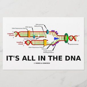Allt finns i DNA