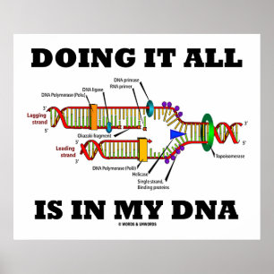 Allt görs i mitt DNA (DNA-replikering) Poster