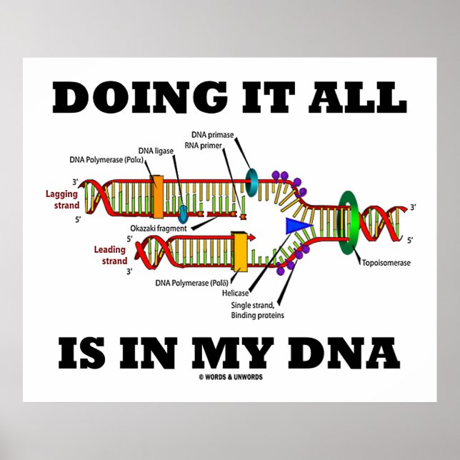 Allt görs i mitt DNA (DNA-replikering) Poster (Framsidan)