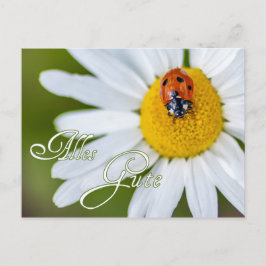 Allt gott med lyckosnyltlopporna vykort