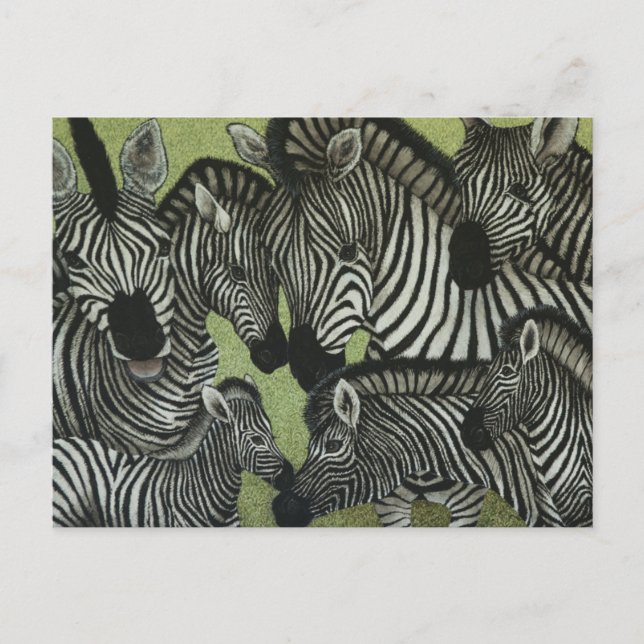 Allt i svartvitt vykort (Framsida)