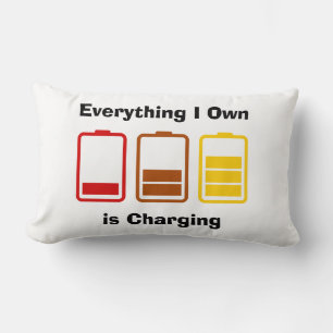 Allt jag äger är laddning lumbarkudde