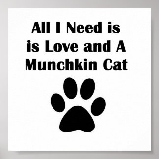 Allt jag behöver är Kärlek och en Munchkin Cat Poster