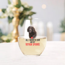 Allt jag behöver är kärlek och min Boykin Spaniel