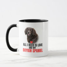Allt jag behöver är kärlek och min Boykin Spaniel-