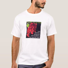 Allt jag behöver (ljus) T-Shirt