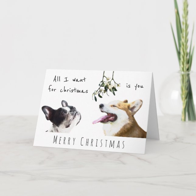Allt jag vill ha är du hund mistletoe kort (Framsida)