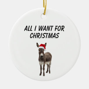 allt jag vill ha i jul är en åsna, julgransprydnad keramik