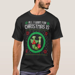 Allt jag vill ha i julklapp är U Magnet Ugly Julaf T Shirt
