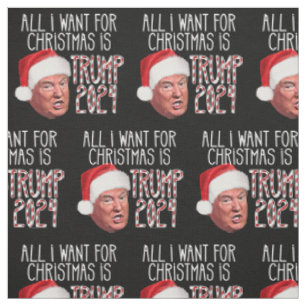 Allt jag vill ha till jul är Donald Trump 2024 Tyg