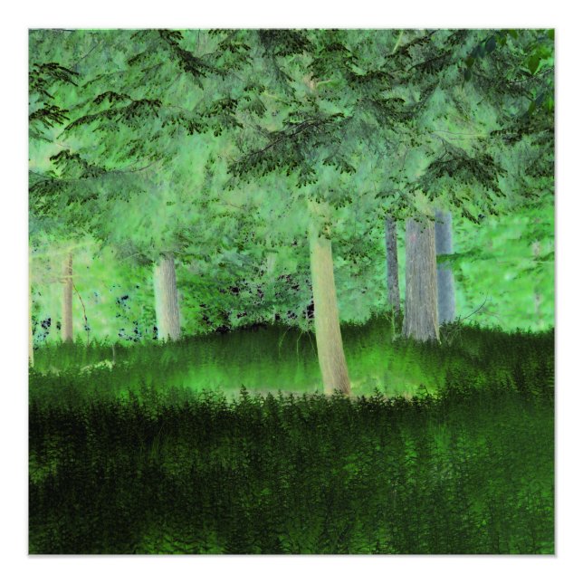 "Allt kan hända" Magic Transformed Forest Fototryck (Framsidan)
