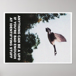 Allt kan vara en UFO (liten) Poster