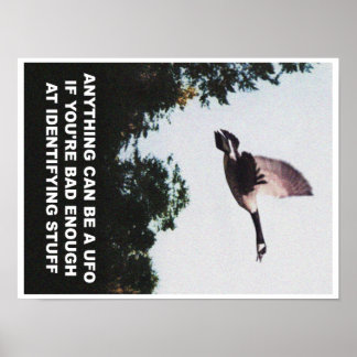 Allt kan vara en UFO (liten) Poster