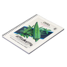 Allt kommer att bli en okram bärbar dator