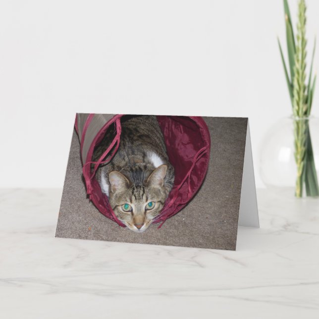 Allt-Lycklig-kort Kort (Framsida)