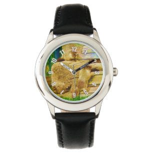 Allt om Marmots - Gult-bellig Marmot Baby Armbandsur
