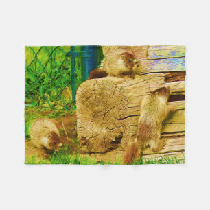Allt om Marmots - Gult-bellig Marmot Baby Fleecefilt