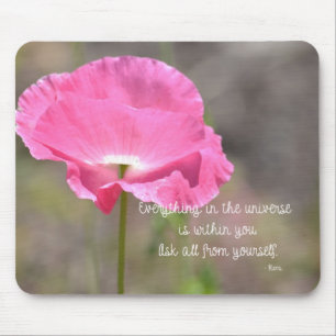 Allt Poppy Musmatta